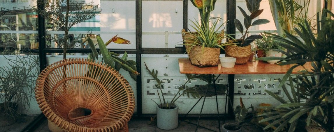 Como transformar a sua casa num bonito jardim