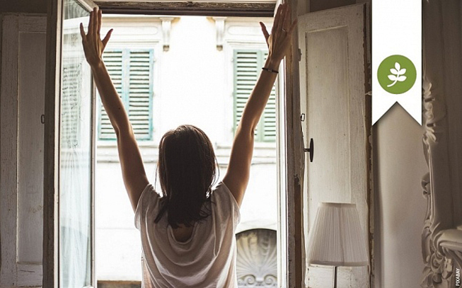 Como tornar a sua casa sustentável e amiga do ambiente