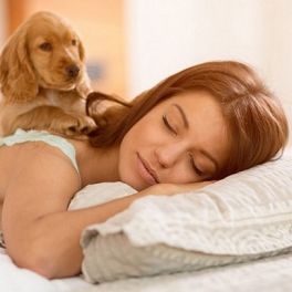 Os cães devem dormir na cama dos donos? Saiba quais são os prós e contras