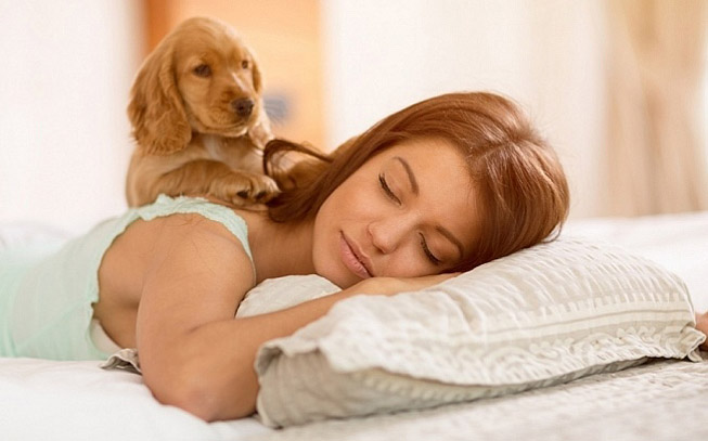 Será que deve dormir com cães? Saiba quais são os prós e contras
