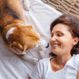 9 hotéis onde pode relaxar na companhia do seu animal de estimação