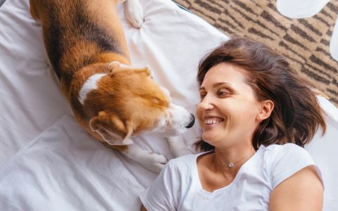 9 hotéis onde pode relaxar na companhia do seu animal de estimação