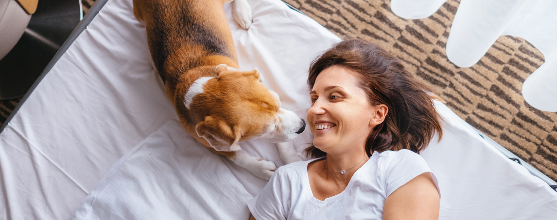 9 hotéis onde pode relaxar na companhia do seu animal de estimação