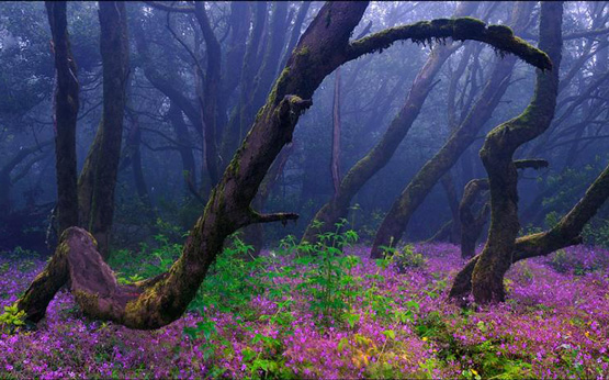 Lugares turísticos: 8 sugestões fora do roteiro que tem de conhecer