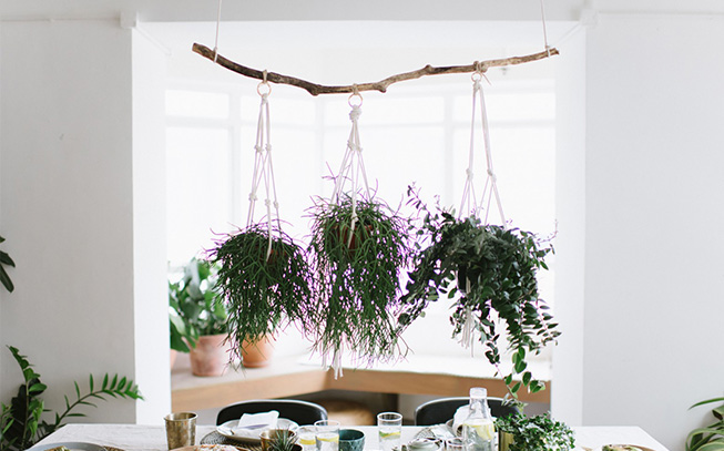 suporte para plantas: saiba como criar uma estrutura natural