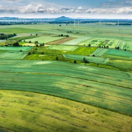 Sabe qual é o país mais sustentável do mundo?