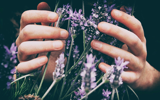 O método japonês tem efeitos positivos na mente e no bem-estar físico. Saiba todos os benefícios que o Reiki traz e saiba onde pode fazer sessões.