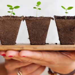 15 dicas para ter uma vida mais ecológica a partir de... hoje