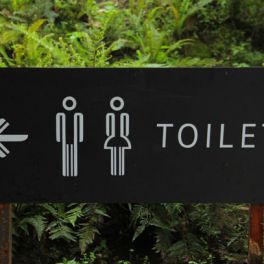 Manual prático para ir ao WC no escritório (e fazer o number 2)