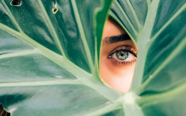 Maquilhagem vegan: será este o futuro da beleza? Ou já é o presente?