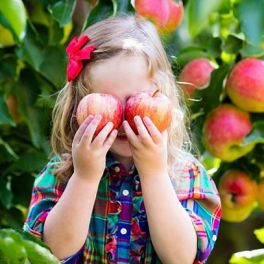 9 formas divertidas de convencer o seu filho a comer frutas e legumes