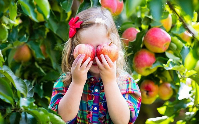 Frutas e legumes: 9 formas para convencer o seu filho a comer bem