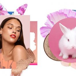 Cosmética cruelty free: o futuro da beleza passa por não testar em animais