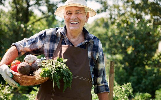 alimentação biológica