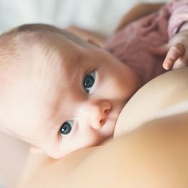 Amamentação: a política está a limitar a escolha das mães?