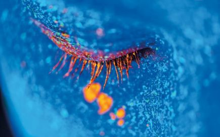 Medicina alucinogénia: estamos a olhar para os próximos antidepressivos?