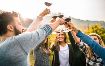 Vindimas: o roteiro perfeito para quem quer ser o melhor amigo de Baco