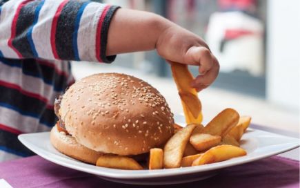 mitos sobre a obesidade infantil
