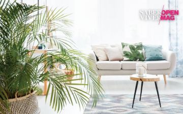 Plantas purificadoras do ar para ter em casa