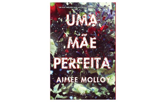 livro uma mãe perfeita