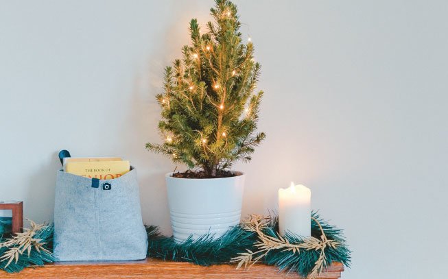 Árvore de Natal, das clássicas às mais originais para uma casa em festa
