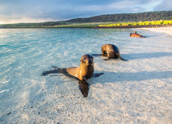 galapagos, equador um dos melhores lugares para viajar com crianças