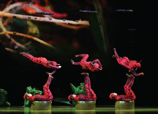 cirque diu soleil ovo