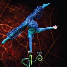 Cirque du Soleil. Como é que ex-atletas olímpicos se preparam para um espetáculo de circo?