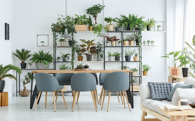 Decoração com plantas: a sua casa vai ficar mais alegre