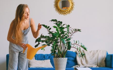 As plantas podem mesmo ajudar no Feng Shui da sua casa. Saiba como