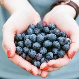 Mirtilo: fruto da juventude e rei dos antioxidantes