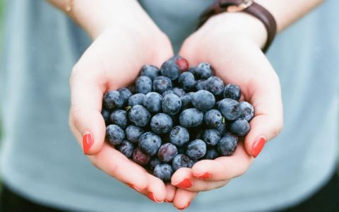 Mirtilo: fruto da juventude e rei dos antioxidantes