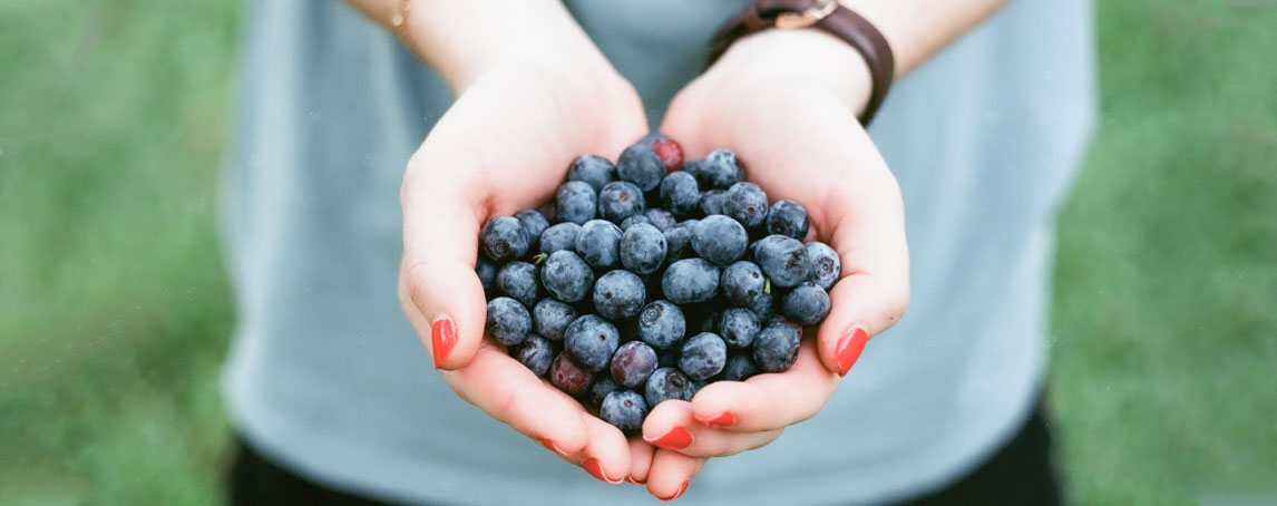 Mirtilo: fruto da juventude e rei dos antioxidantes
