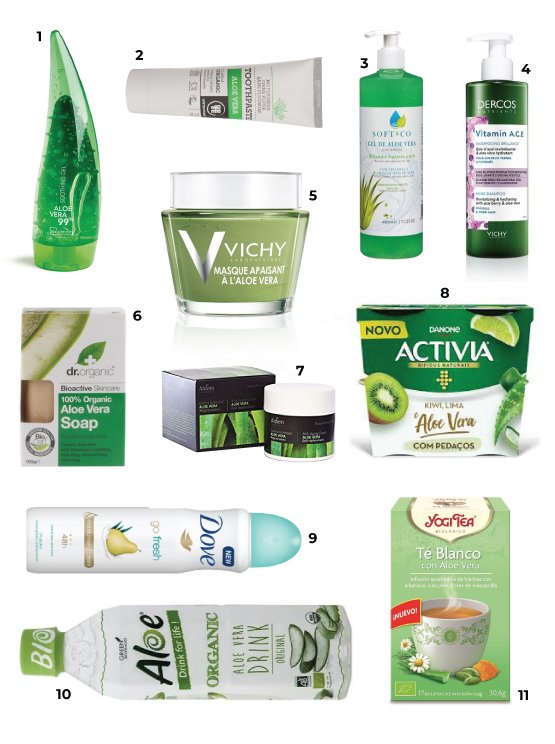 produtos com aloe vera