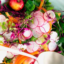 Esta salada de verão é uma união exótica entre o rabanete e a cereja