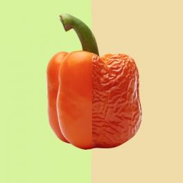 Intoxicação alimentar: o que é, as causas, os sintomas e a prevenção