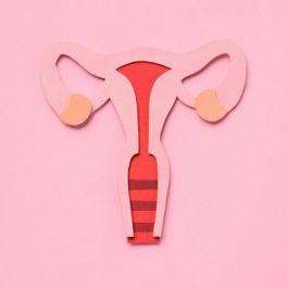 Tudo o que devíamos saber sobre o ciclo menstrual