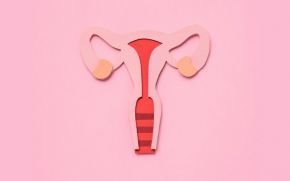 Ciclo menstrual e suas fases - Toda Matéria