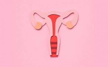 ciclo menstrual