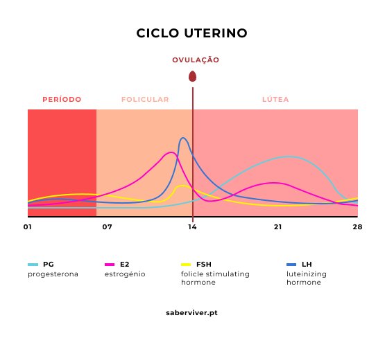 gráfico ciclo menstrual
