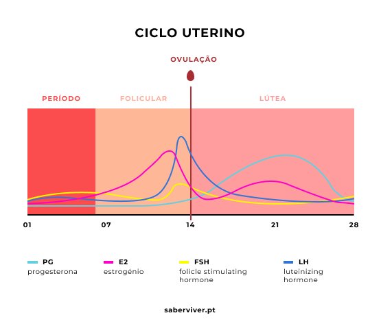 fase menstruacao