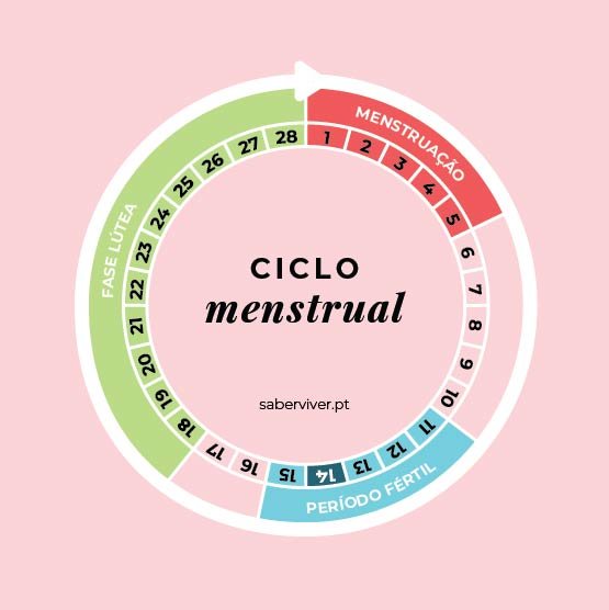 ciclo menstrual