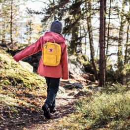 15 mochilas escolares para todas as carteiras