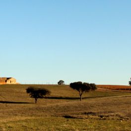 Mini-roteiro para uma escapadinha pelo Alentejo inesquecível