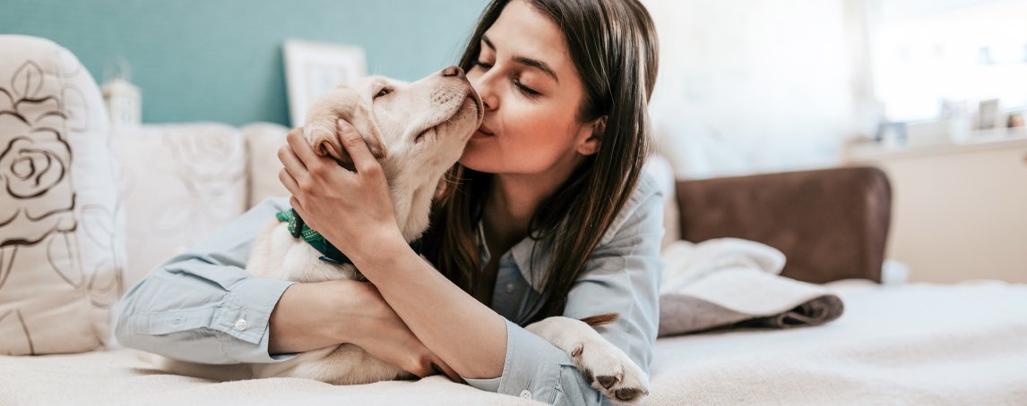 O stresse que sentimos prejudica os nossos cães, conclui estudo