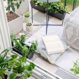 Crónica. Feng Shui e a primavera
