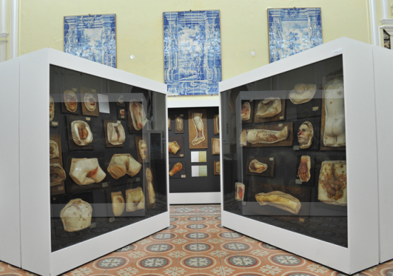 museus gratuitos