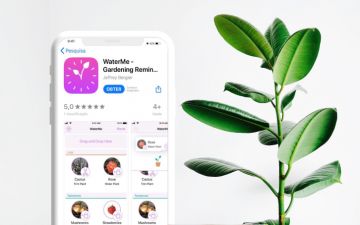 Sabia que existem apps que a ajudam a cuidar das suas plantas?