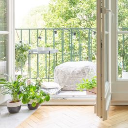 Crónica. Feng Shui no jardim e espaços exteriores