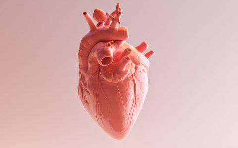 Coração: saiba como mantê-lo saudável e imparável